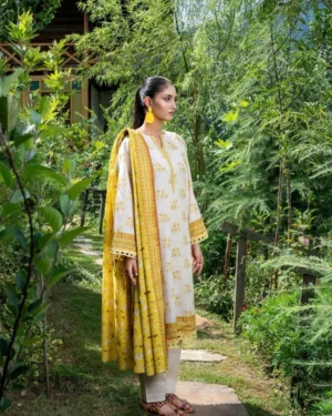 Zesh Airjet Printed Khaddar 3PC