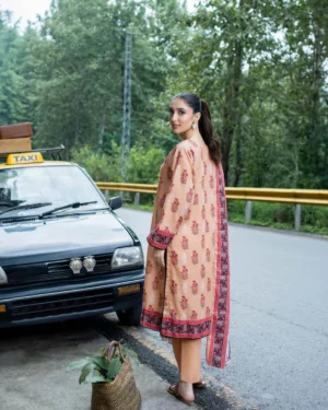 Zesh Airjet Printed Khaddar 3PC