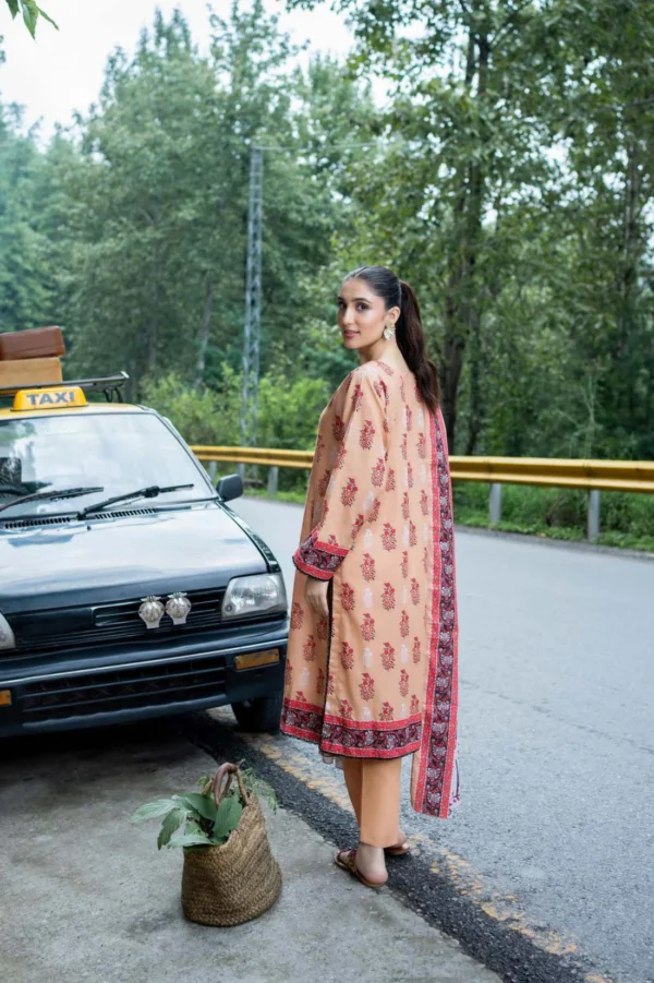Zesh Airjet Printed Khaddar 3PC | Zesh Airjet | SGO-ZA03 - Image 3